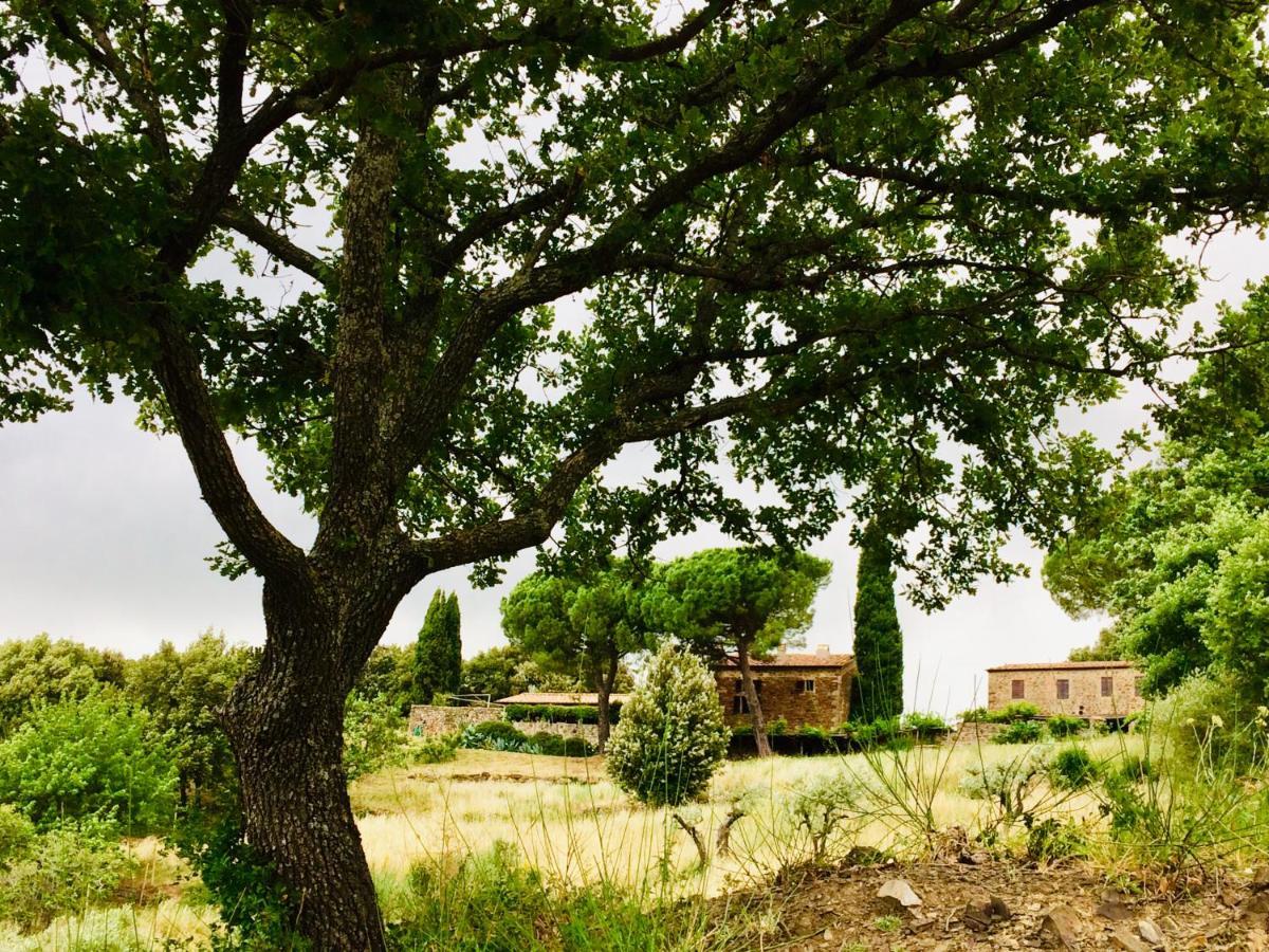 Willa Nocini Di Maremma Tatti Zewnętrze zdjęcie