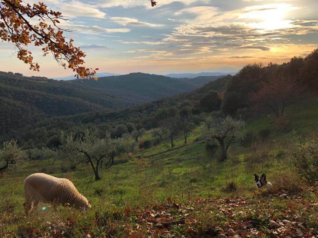 Willa Nocini Di Maremma Tatti Zewnętrze zdjęcie