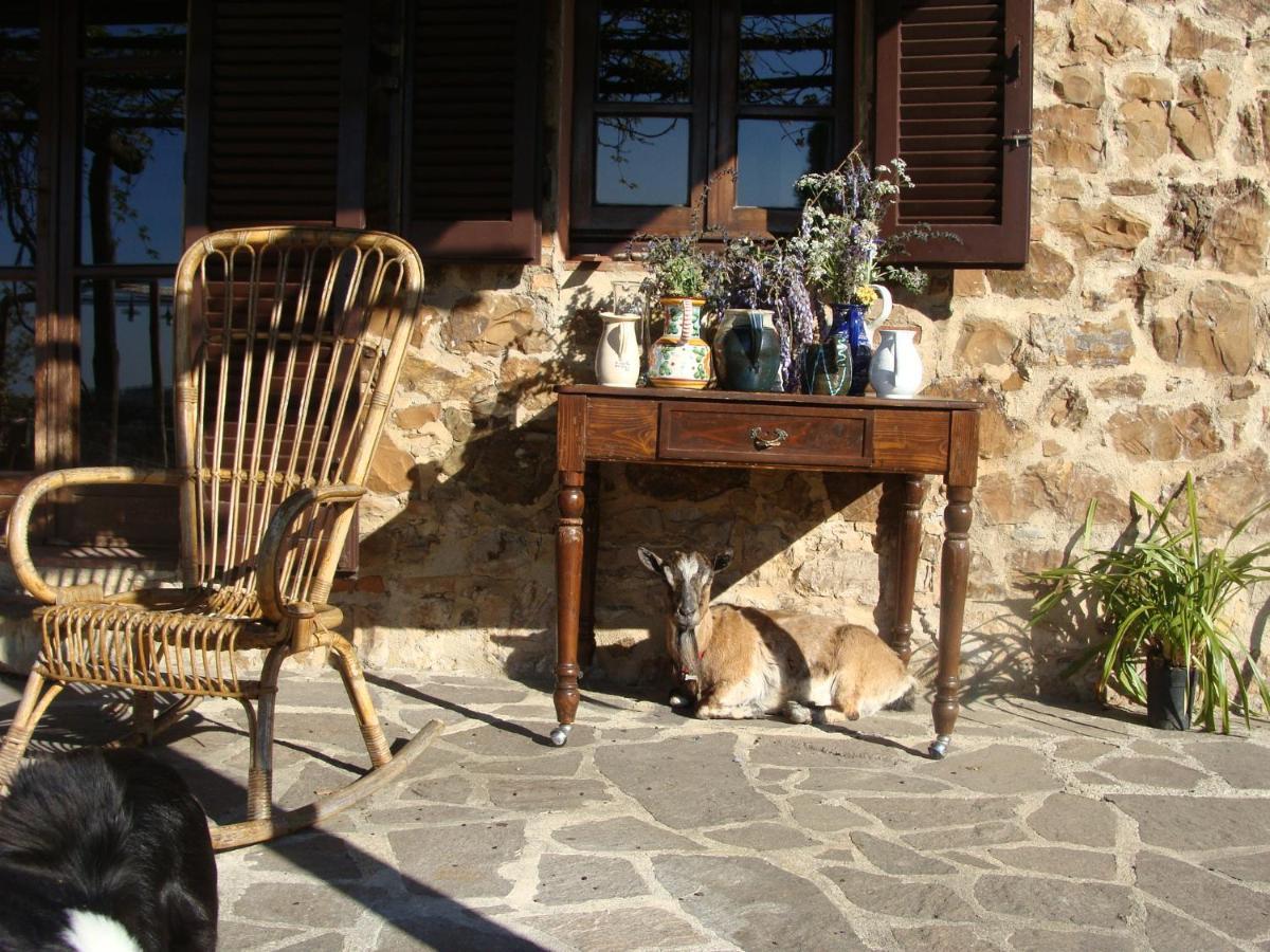 Willa Nocini Di Maremma Tatti Zewnętrze zdjęcie