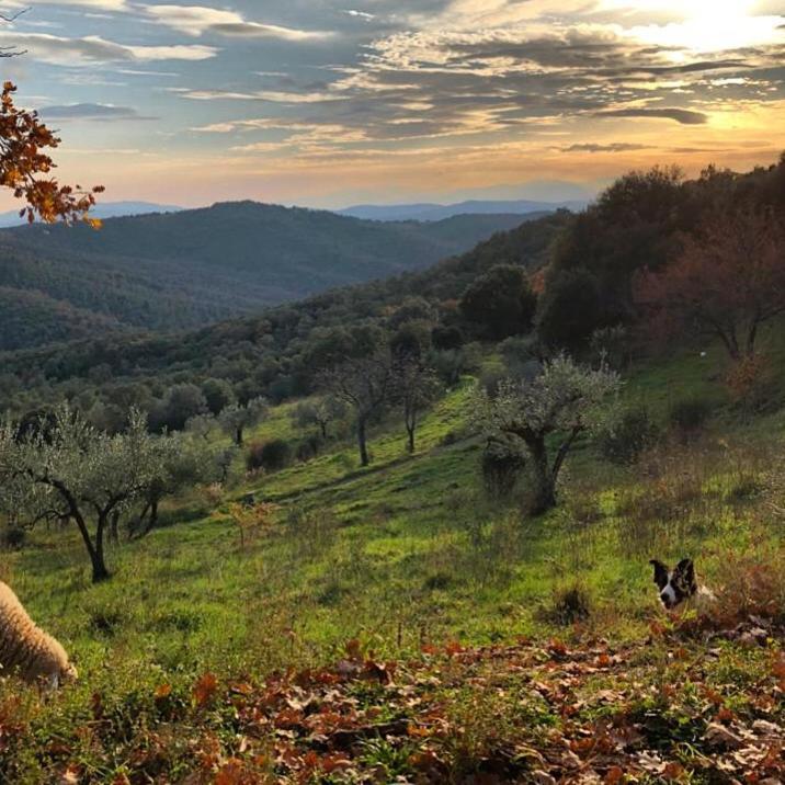 Willa Nocini Di Maremma Tatti Zewnętrze zdjęcie